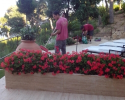 upravlenie-espana-cleaning-2